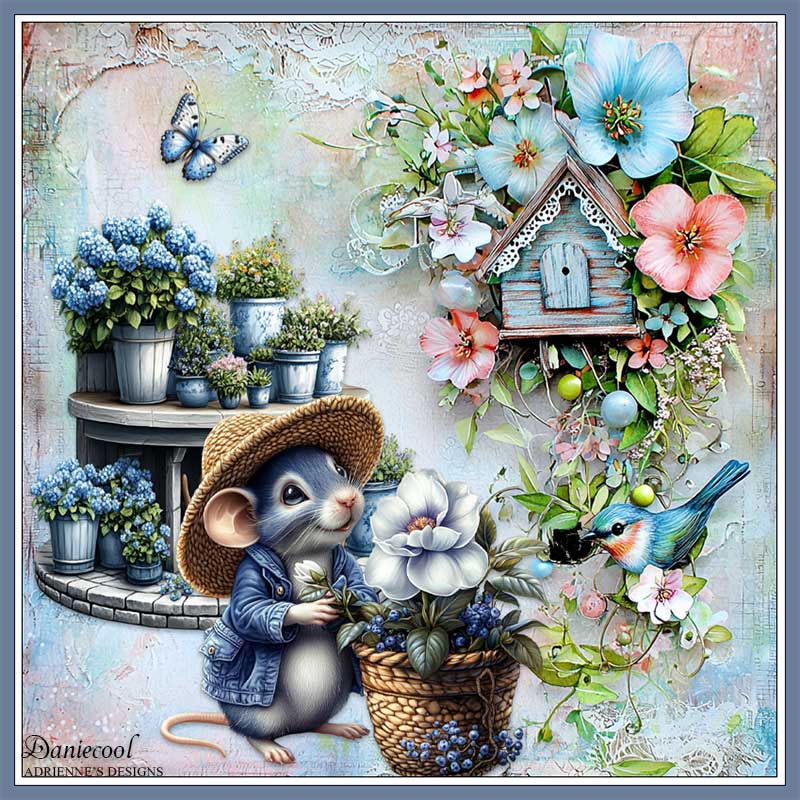 imaginaire